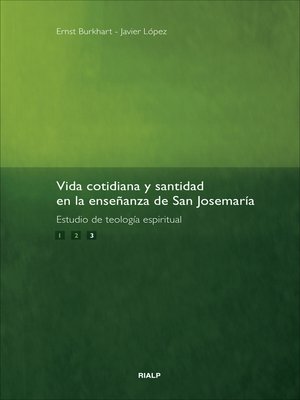 cover image of Vida cotidiana y santidad
